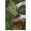 Lógó virágkosár kókuszrost szőnyeggel - 25 cm - 