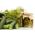 ガーデンディルSzmaragd種子 -  Anethum graveolens  -  2800種子 - Anethum graveolens L. - シーズ