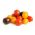 بذور الطماطم المختلطة - Lycopersicon esculentum - Solanum lycopersicum  - ابذرة