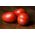 Tomato Kmicic seeds - Lycopersicon esculentum - 500 seeds