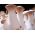 Královská trubka houba; Houba lesní roh, král ústřičná houba, král hnědá houba, hřib stepí, trubka royale, ali "i ústřice - Pleurotus eryngii