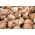 Câini de ciuperci și ciuperci portobello pentru cultivarea casei și grădinii - 2 în 1 - Agaricus bisporus