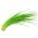 Luk luk Jowisz - Allium schoenoprasum - 850 sjemenki - Allium schoenoprasum L. - sjemenke