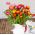 Νάνος Διπλός Αιώνιος Λουλούδι αναμεμειγμένοι σπόροι - Helichrysum monstrosum nana fl.pl. - 600 σπόρους - Helichrysum Arenarium