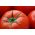 Tomat "Bekas F1" - untuk budidaya rumah kaca - Solanum lycopersicum  - biji