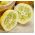 Zitronen-Gurkensamen - Cucumis Sativus - 