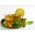 بلسم الليمون "Limonella" - الجدة العطرية! - 1000 بذرة - Melissa officinalis - ابذرة