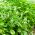 Maustebasilika - Floral Spires - 30 siemenet - Ocimum basilicum