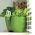 Pot à herbes double, rond - Limes Dublo - 25 x 12 cm - Blanc - 
