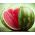 Watermelon Bingo seeds - Citrullus lanatus - 38 seeds
