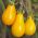 Tomate Yellow Pearshaped - Hochwachsend - Lycopersicon esculentum - 120 Samen 