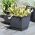 Pot de fleurs carré avec soucoupe - Ratolla - 18 cm - Anthracite - 
