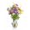 אסטרס - תערובת מגוונת לפרחים חתוכים - 500 זרעים - Callistephus chinensis
