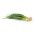 Лук-батун "Байкал" - довговічна і смачна зелень - 500 насіння - Allium fistulosum 