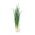 Cebolleta - Bajkal - 500 semillas - Allium fistulosum