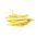 Фасул "Supernano Giallo" - обикновен сорт боб от джуджета - 25 семена - Phaseolus vulgaris L.
