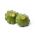 Yeşil pattypan kabak "Gagat" - 30 tohum - Cucurbita pepo - tohumlar