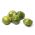 Yeşil pattypan kabak "Gagat" - 30 tohum - Cucurbita pepo - tohumlar