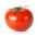 Cà chua "Antares" - giống cực kỳ kháng, không cần đặt cọc - Lycopersicon esculentum Mill. - hạt