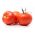 Cà chua "Antares" - giống cực kỳ kháng, không cần đặt cọc - Lycopersicon esculentum Mill. - hạt