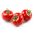 Tomat "Beta" - ideal untuk tukang kebun hobi - Lycopersicon esculentum Mill  - biji