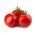 الطماطم "بيتا" - مثالية للحديقة هواية - Lycopersicon esculentum Mill  - ابذرة
