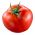 Tomat "Saint Pierre" - kokoh, varietas raspberry - 200 biji - Lycopersicon esculentum Mill 