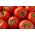 עגבנייה "Betalux" - מגוון קטן - 220 זרעים - Lycopersicon esculentum Mill 