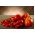 Cà chua cao "Red Pear" - 120 hạt - Lycopersicon esculentum Mill 