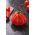 Tomat - Red Pear - 120 frø - Lycopersicon esculentum Mill