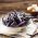 Джудже френски боб "Purple Teepee" - 100 семена - Phaseolus vulgaris L.