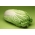 ナパキャベツ「キャピトル」 - 大頭 -  86種 - Brassica pekinensis Rupr. - シーズ