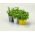 Pot herba modular - Heca - 12,5 cm - Kuning - 