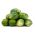 Brussels sprout "Casiopea" - healthy, green Brussel sprouts - 640 seeds