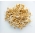 フェヌグリーク - 発芽種子 -  - シーズ