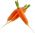 Zanahoria - Olympus - Flakkee - 4250 semillas - Daucus carota