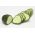 Cucumber "Junak" - 105 seeds