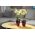 Okrugli cvjetni lonac, visok - Lilia - 12,5 cm - prozirno ljubičasta - 