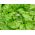 Маслянистий салат "Марина" - хрусткий і ніжний - 1350 насінин - Lactuca sativa L. var. Capitata - насіння