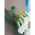 Wandkletterpflanzenträger - ø15 mm - 15 Stück - 