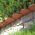 Recinzione da giardino - Linea da giardino - 10 m - Terracotta - 