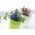 Rund blomkruka med spets - 18 cm - Spets - Lime - 