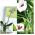 Orchidėjų vazonas - Coubi DSTO - 12,5 cm - žalias - 