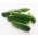 BIO  - 沙拉黄瓜 - 经过认证的有机种子 - Pisum sativum L. - 種子