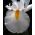 Lis (Iris × hollandica) - White Excelsior - pakket van 10 stuks