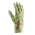 Grüne Majbacka elegante und bequeme Gartenhandschuhe - 