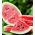 西瓜“迷你爱” -  5粒种子 - Citrullus lanatus - 種子