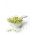 Ростки - семена - Лук - порей - 100 семена - Allium ampeloprasum L.
