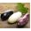 Eggplant, Aubergine - variety mix - 110 seeds