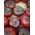 Tomate - Negro de Crimea - Lycopersicon esculentum Mill  - semillas